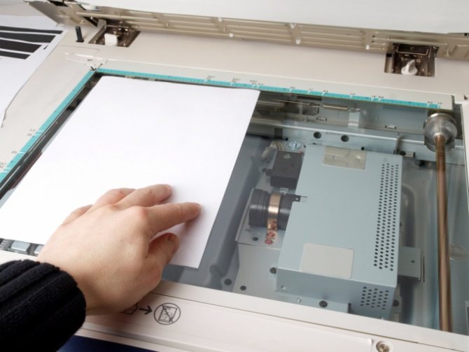 полный размер.jpg