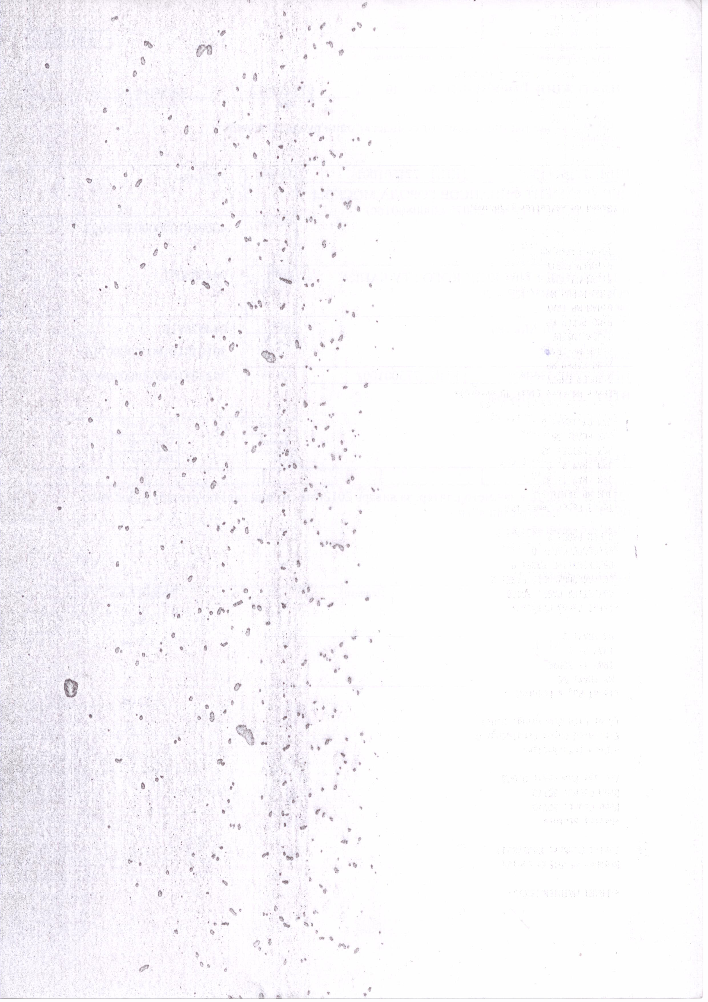 Фон и пятна на картриджах Brother