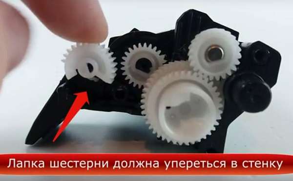 Зубчатая ступня