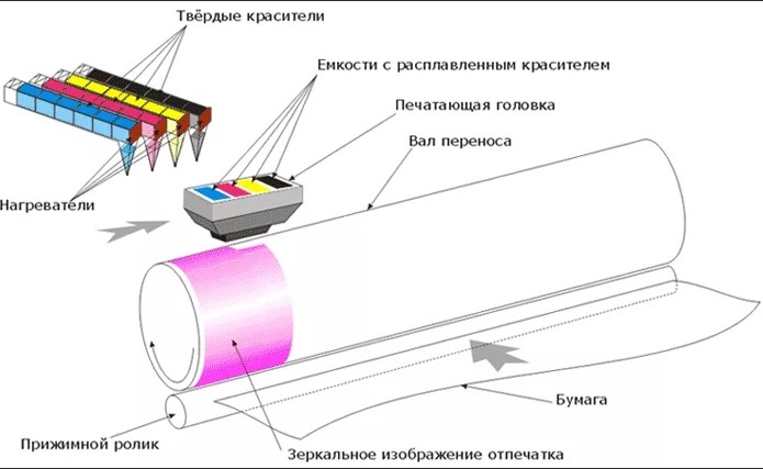 Какие принтеры бывают, и какой лучше выбрать для дома и офиса