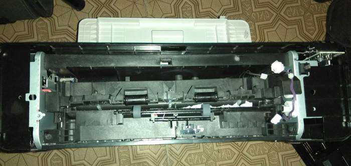 Принтер не берет бумагу: что делать и почему это происходит